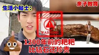 生活小贴士：1200年前的粑粑你见过吗？居然价值连城，比钻石还珍贵！#儿童安全#儿童教育#亲子