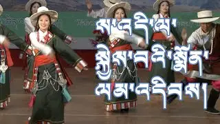 རེབ་གོང་སྐོར་བྲོ། ས་འདི་ལ་སྐྱེས་བའི་སྨོན་ལམ་འདིབས། Rebkong Circle Dance | Yarkyi 2016