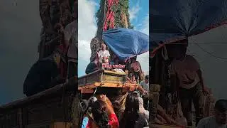 Read description for more details! Bhoto Jatra 🇳🇵❤️ #nepal #jatra #2081