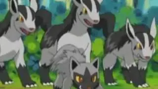 Tribute to Poochyena & Mightyena - She Wolf