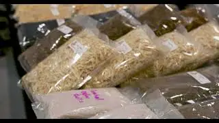 Kentucky Reptile Expo Vendor PROMO