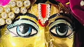 🌸✨ Live Krishna Bhajan Sandhya ❣️💕 Divine Love & Eternal Bliss 🙏🦚