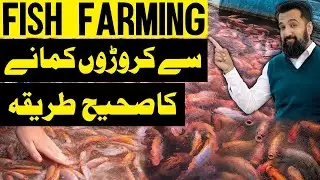 Fish Farming Business in Pakistan | Modern Method To Build A Fish Pond | Azad Chaiwala