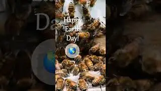 Happy Earth Day from Edgewood Apiaries!