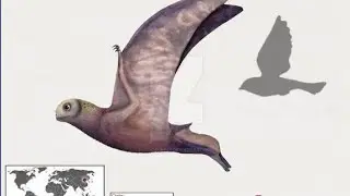 Джехолоптер — самый крупный анурогнатид! #рекомендации #палеонтология #pterosaurus  