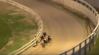 Gaytime Nemo - Star Sports & TRC English Greyhound Derby First Round