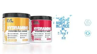Evlution Nutrition Hydramino