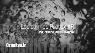 Daiwa Prorex XR Casting & Spinning chez Crankys.fr