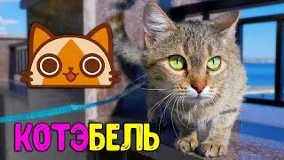 Коктебель - гора Клементьева, Звездопад воспоминаний, Беседка ветров - отдых в Крыму сегодня
