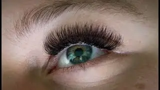Fluffy Lashes Pre-Made Mega Volume Fans (Full Set 5D 0.07)