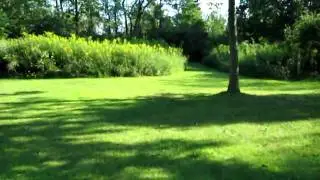 Taking an Electric Mobility Scooter Out In The Woods