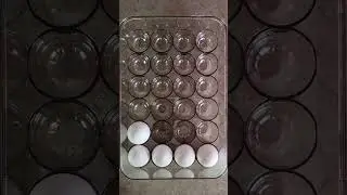 AMAZON Finds: Egg Storage Container with Freshness Timer #shorts #amazon #kitchen #food #storage