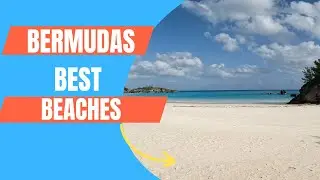 Bermuda's Best Beaches | Lord Of The Flights