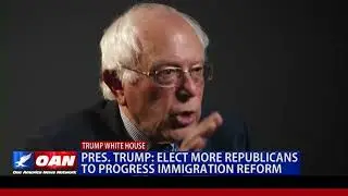 Democrats See Illegal Immigrants as Potential Voters, Push Open Borders