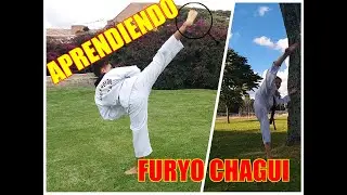 APRENDIENDO FURYO CHAGUI