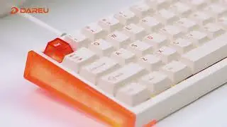 DAREU COOL 68 Review &mdash; 8K Wired Hall Effect Keyboard (65% RGB Lightbox)