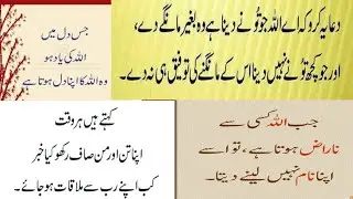 wasif Ali wasif Quotes in Urdu | Hikmat Ki Batain/islamic quits in Urdu/Sunheri Golden Words.