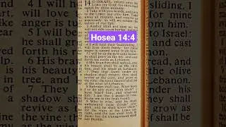God Heals Backsliding, Loves Freely and Turns Away His Anger.