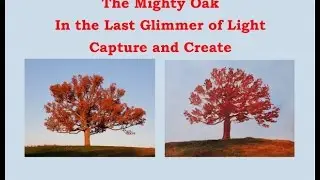 The Mighty Oak Tree  Painting Free Oil Painting Lessons