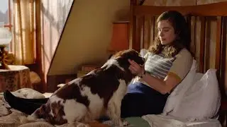 All Creatures Great and Small, Season 5: Which Animal is Most Like You?