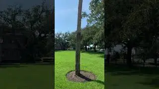 The Casements | John D Rockefeller Sr Residence in Ormond Beach, Florida