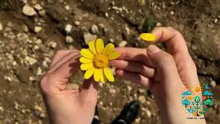 THE ART OF BEING YOUR OWN BEST FRIEND