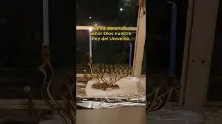 Bendiciones en la primera noche de Januca en familia