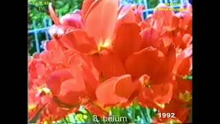 GÜNEDOĞRU, SÖĞÜT, ELMALI, BEĞRE, GÖVDELİ, KAPIDERE