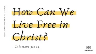 Galatians 5:2-15 | How Can We Live Free in Christ?