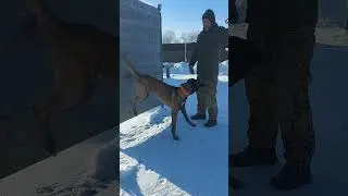 БО Малинуа.Отличие навыка 