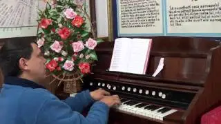 There's Not A Friend - Organist Bujor Florin Lucian playing on the Mannborg Reed Organ