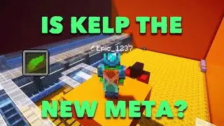 I Tested Kelp Farms on Donut SMP
