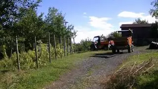 AGIANTZA - REAS Euskadi
