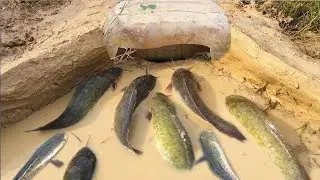 Easy Fishing Trap For Catching Large Fish By Deep Hole