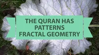 The Quran Speech Patterns: Fractal Geometry - &ldquo;God always geometrizes&rdquo; &ndash; Plato