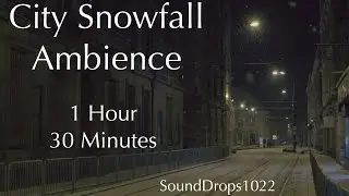 1 Hour 30 Minutes of City Snowfall - Tranquil Urban Snow