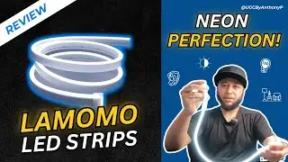 Best LED Neon Strips for DIY Neon Signs | No Dark Spots