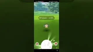 How To Catch Pokemon Tympole #shorts