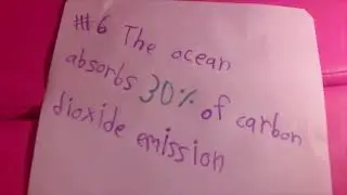 10 Reasons To Protect The Ocean- The Fairy Science Show