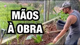 FIZEMOS um TOUR pelo JARDIM pra essa INVENÇÃO | Henrique Buttler