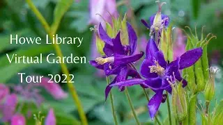 The Howe Library 2022 Virtual Garden Tour