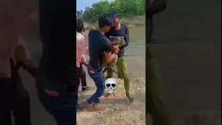 Human Vs Animals 💀