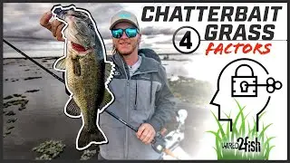 4 Tips to Boost ChatterBait Fishing Success Around Grass