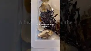 Hand poured resin beach clock in the making &hellip;
