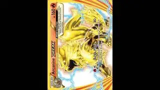 #059 All Arcanine Pokemon Cards Compilation!