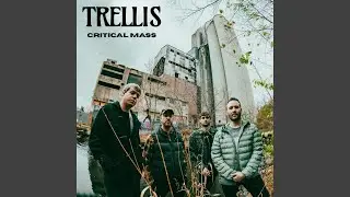 Critical Mass