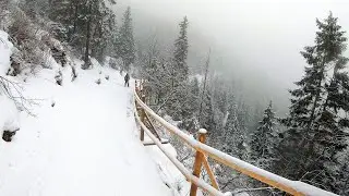 Skitury - zjazd na nartach spod Kasprowego sz. narciarskim z Hali Gąsienicowej do Kuźnic, 4K, Gimbal