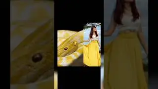 all naagin actress vs snacks