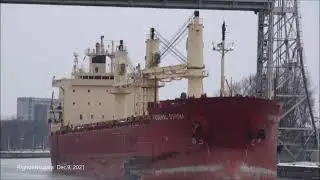 Ship FEDERAL OSHIMA passing the newly-arrived scrap ship ST. CLAIR, Welland Canal (2021)