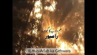 Rampur | Ilm-o-Adab Ka Gehwara | A Documentary on Rampur City | IMC, MANUU